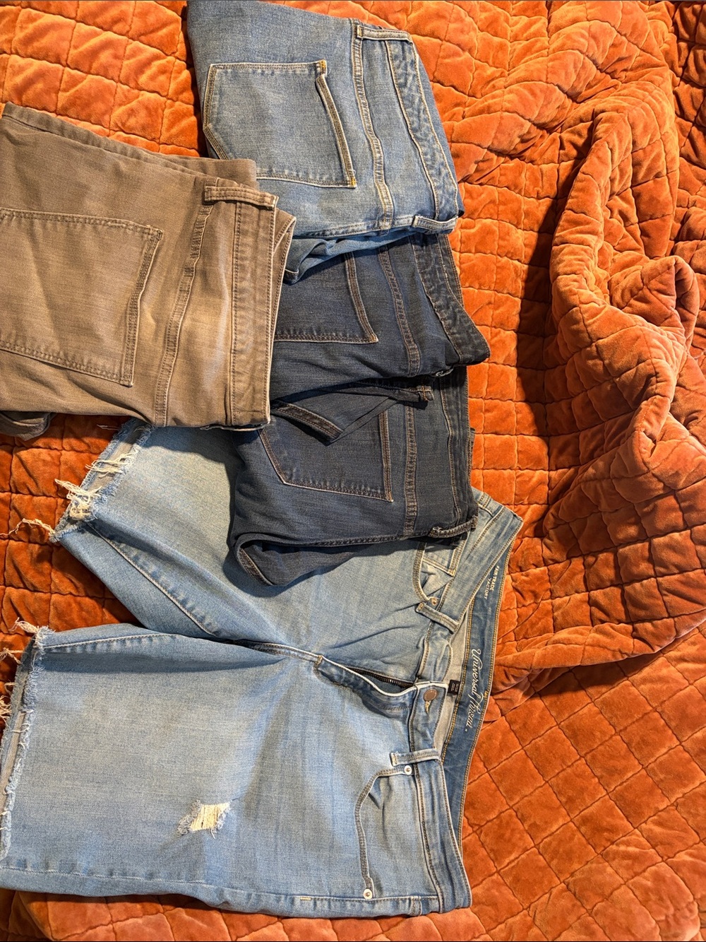 Women’s Distressed Denim Shorts (1) and (4) jeans - Classic Summer Jean